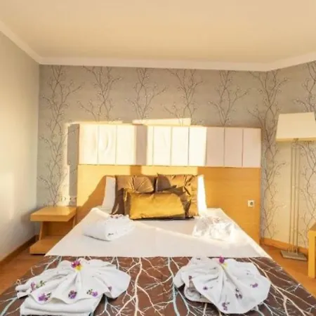Hotel Maira Deluxe 4*